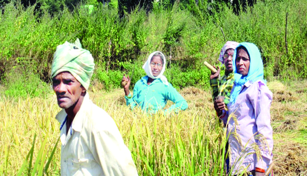 కౌలు రైతుల కడగండ్లు తీరేనా...