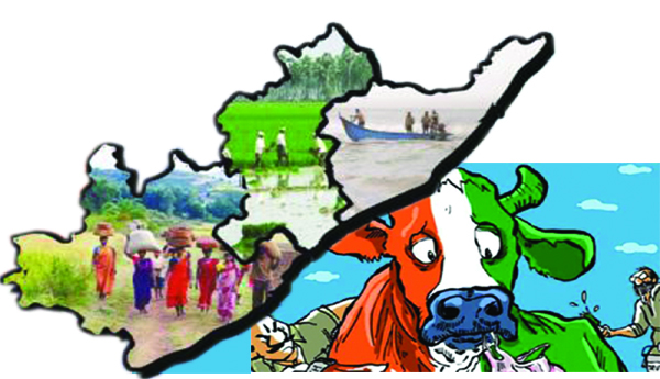 గో రాజకీయాలు