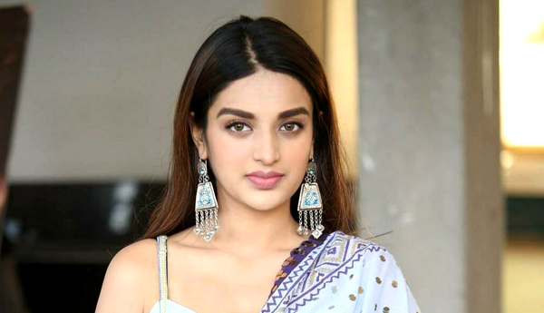 Nidhi agarwal : నెటిజన్లపై ఫైర్‌ 
