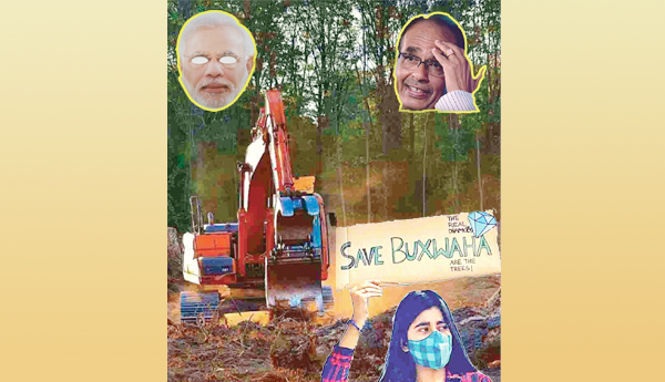 వజ్రం కోసం వనం ధ్వంసం !