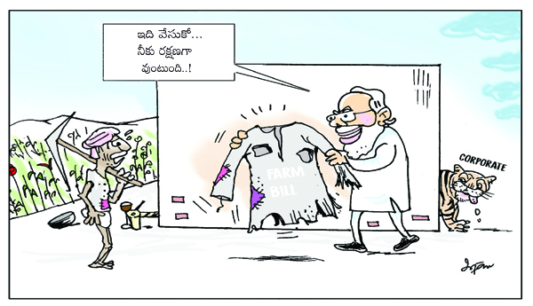 మద్దతు ధరలపై ప్రభుత్వ అసత్య ప్రచారం