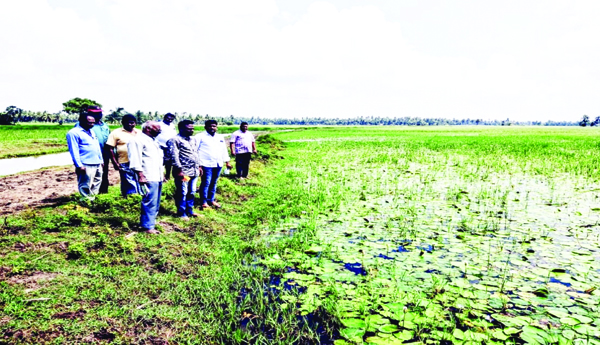 ఉప్పునీటితో రైతు కంట కన్నీరు