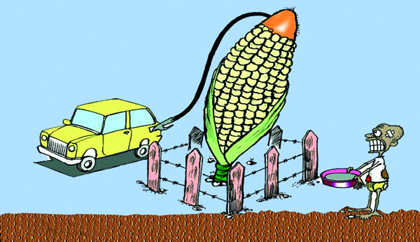 ఆకలి కడుపులు, ఆహార నిల్వలు, బయో ఇంధనం