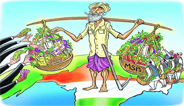 వ్యవసాయ రంగం - కొన్ని పొరపాటు అభిప్రాయాలు