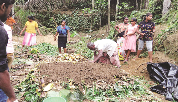 సేంద్రియ సేద్యం సంక్షోభాలను తగ్గించగలదా?