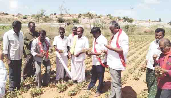 'అనంత' రైతు కూలీల వెతలు