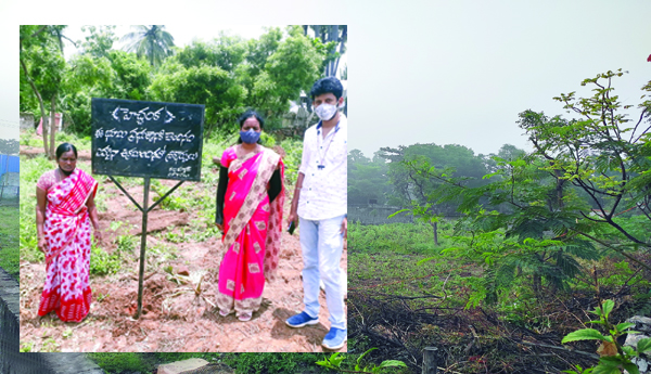 నాడు ప్రభుత్వ భూమి... నేడు !