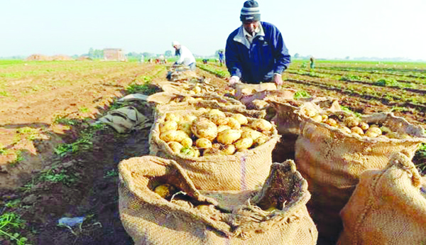 పెప్సీపై రైతుల విజయం