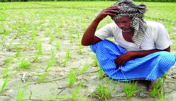 కష్టాల సుడిగుండంలో కౌలు రైతులు