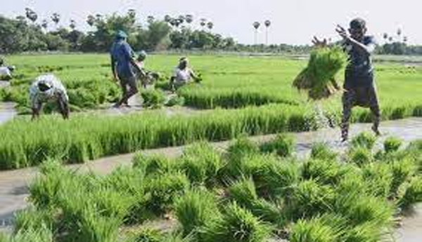 విధుల్లో చేరని రివర్షన్‌ అధికారులు