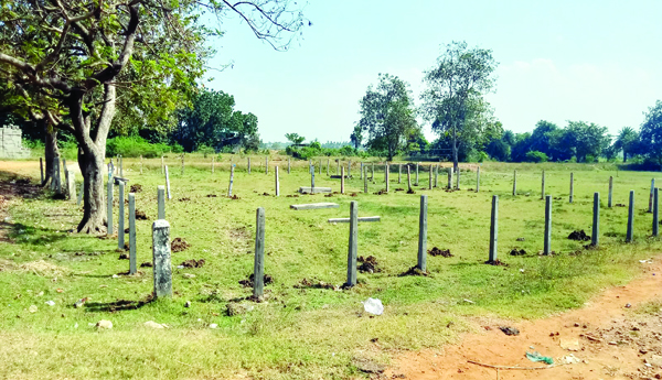 'బరి' తెగింపు !