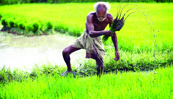 మూడవ ఏటా మొండి చెయ్యే !