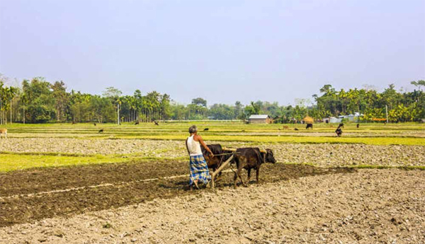 రబీలోనూ అందని రుణాలు