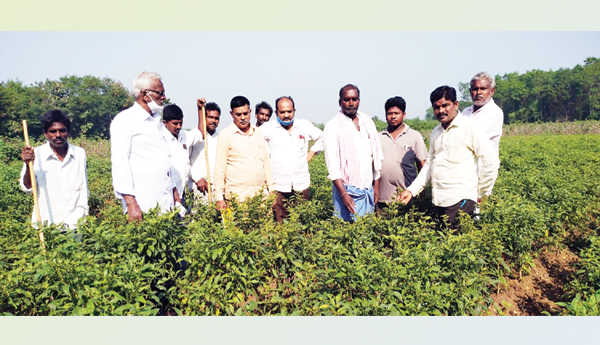 పరిహారం కోసం ఎదురు చూపులు