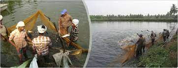 చెరువుల వేలానికి గైడ్‌లైన్స్‌