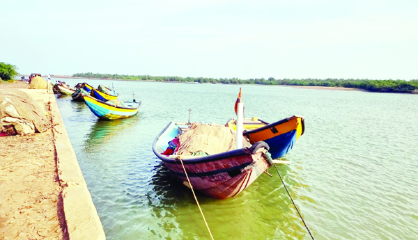 నిర్వాసితుల ఊసే లేని 'భావనపాడు' భూసేకరణ