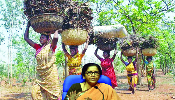 కేంద్ర బడ్జెట్‌ : గిరిజనులకు చేటు