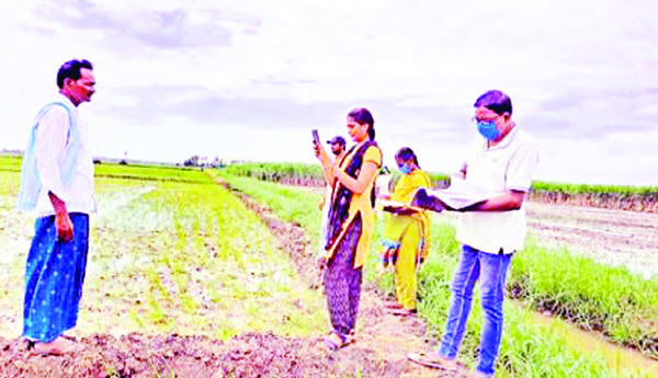 ఇన్‌పుట్‌కు ఇ-క్రాప్‌ అడ్డు