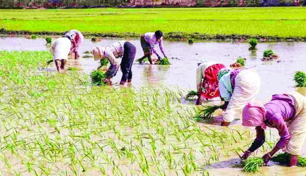 నాలుగూ నామమాత్రమే !