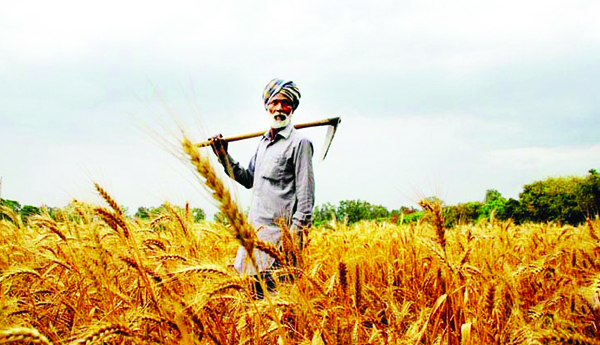 కార్పొరేట్‌ సాగుకు సై
