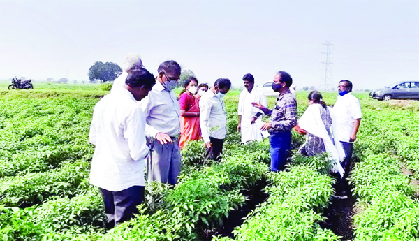 పత్తా లేని బీమా కంపెనీ