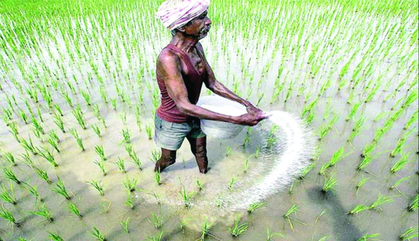 తగ్గుతున్న ఎరువుల వినియోగం