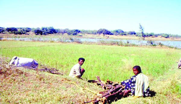 కమతం క్షీణత