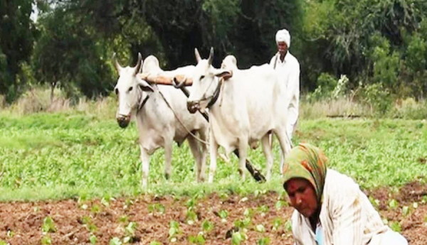 PM kisan లబ్ధిదారుల సంఖ్య ఏపి తగ్గుదల... తెలంగాణలో పెరుగుదల