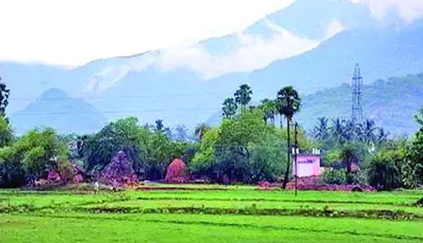 కోర్టు ఉత్తర్వులున్నా ఆగని బలవంతపు పూలింగ్‌