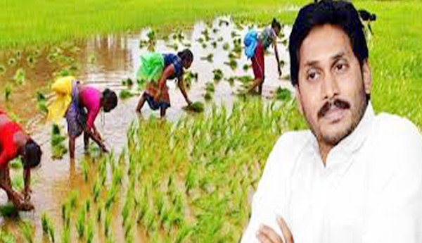 అడ్రస్‌ లేని అగ్రి మిషన్‌.. అధ్యక్షులు ముఖ్యమంత్రే