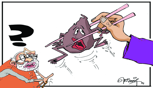 శ్రీలంక సంక్షోభం - పాఠాలు