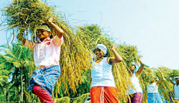 వ్యవ'సాయా'నికి కేరళ ప్రాధాన్యత