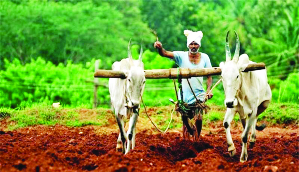 వ్యవసాయం పట్ల యువత విముఖత