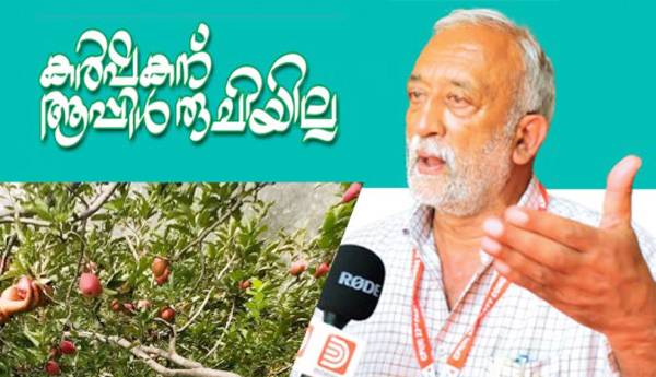 కేంద్రం విధానాలతో యాపిల్‌ రైతుల కన్నీరు : హిమచల్‌ ప్రదేశ్‌ సిపిఎం నాయకులు, ఎమ్మెల్యే రాకేష్‌ సింగ్‌