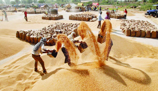 ధాన్యం కొనుగోళ్ళలో రైతు సమస్యలు తీరేనా ?