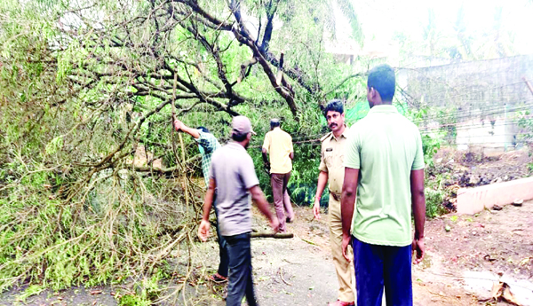 వర్షాలు, ఈదురు గాలులతో నష్టాలు