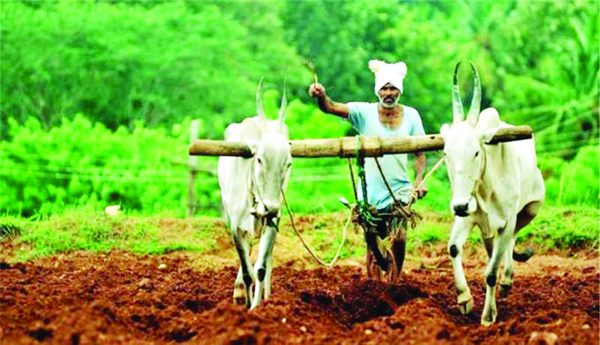 రైతు భరోసాలో వివక్ష