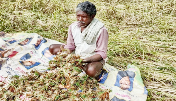 రైతు ముఖ చిత్రం