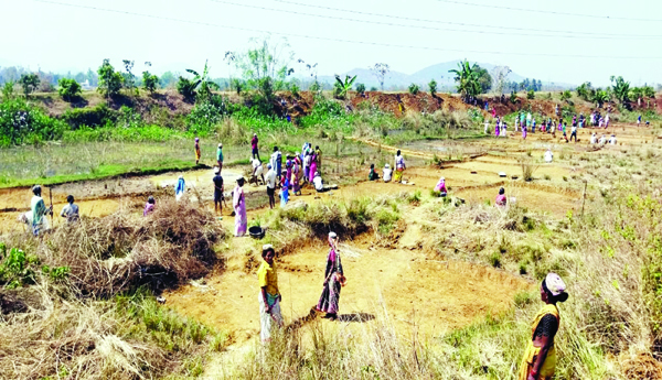 ఉపాధి పనికీ కేంద్రం గండి ! 