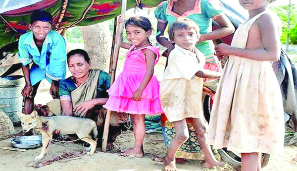 చెంచుల జీవితాల్లో వెలుగులెన్నడు ?