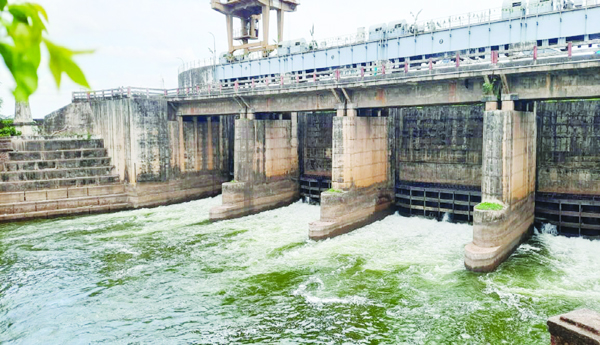గోదావరి డెల్టాలో 'ముందస్తు' ఖరీఫ్‌