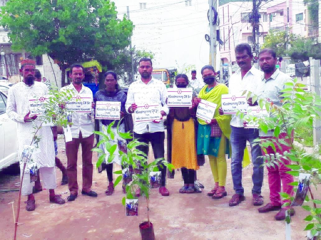 రోడ్లపై మొక్కలు నాటి నిరసన