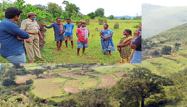అటవీ హక్కులు - పాలకుల విధానాలు