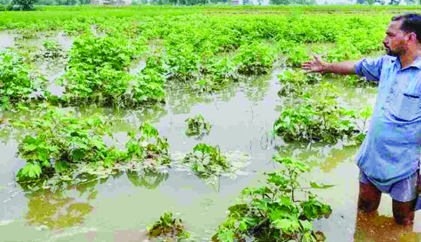 పంట నష్టపోయిన రైతులందరికీ పరిహారం ఏదీ?