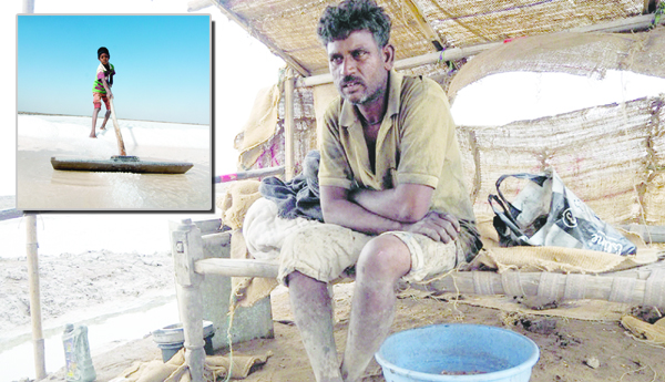 Agachats, of, Gujarat, Agariyas