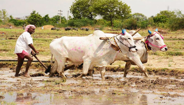 Conditions, of, Transfers, to, Kharif, Farmer