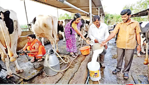 No-GST-on-dairy-products