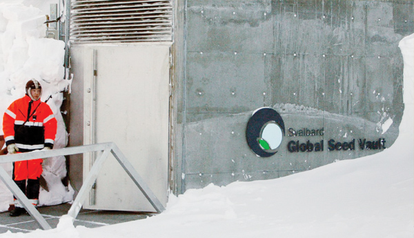 A-global-seed-vault-for-the-future