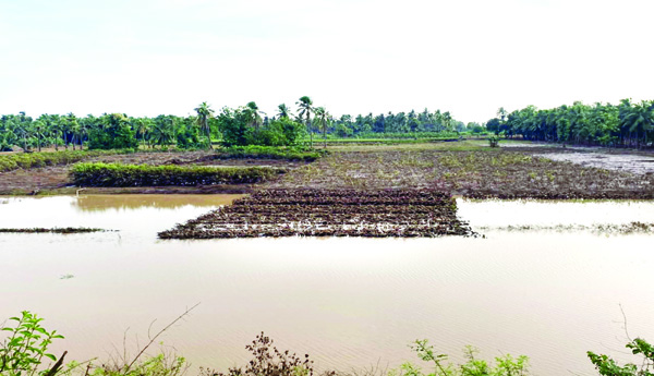 varada, maigailacaina, kasatam