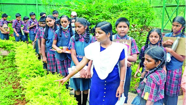 సీతాకోక చిలుకలపై అవగాహన